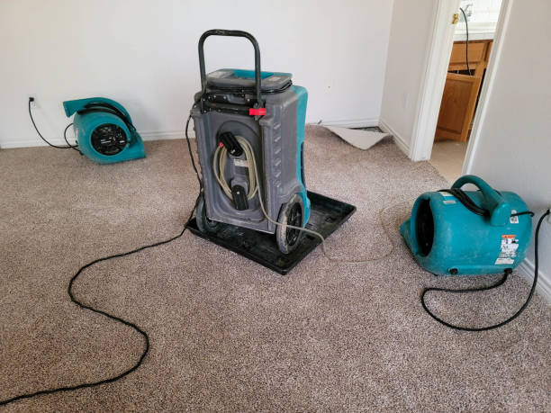 Best 24-hour water damage restoration  in Tahoe Vista, CA