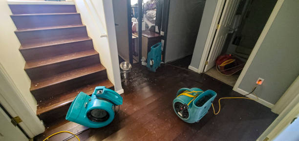 Reliable CA Water damage restoration Solutions