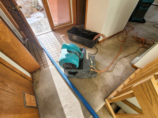 Best Sewage cleanup and water damage restoration  in Tahoe Vista, CA
