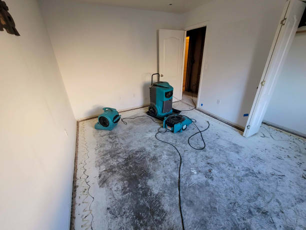 Best Professional water damage repair  in Tahoe Vista, CA