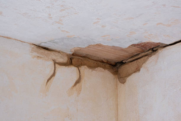Best Ceiling water damage repair  in Tahoe Vista, CA