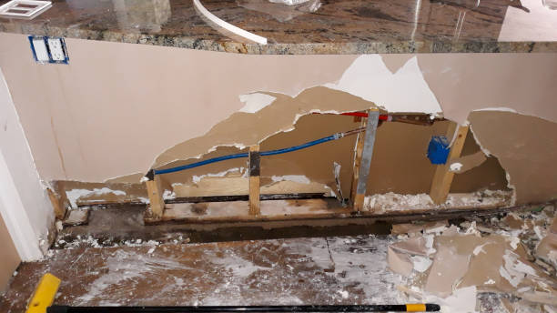 Best Flood damage cleanup  in Tahoe Vista, CA