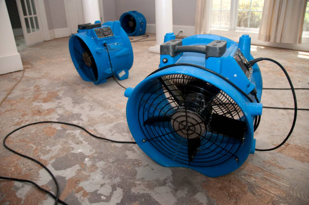 Best Carpet water damage restoration  in Tahoe Vista, CA