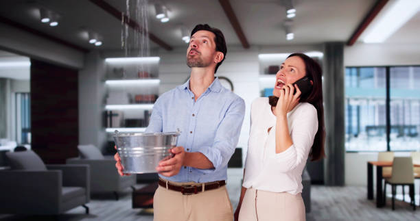 Best Water damage contractors near me  in Tahoe Vista, CA